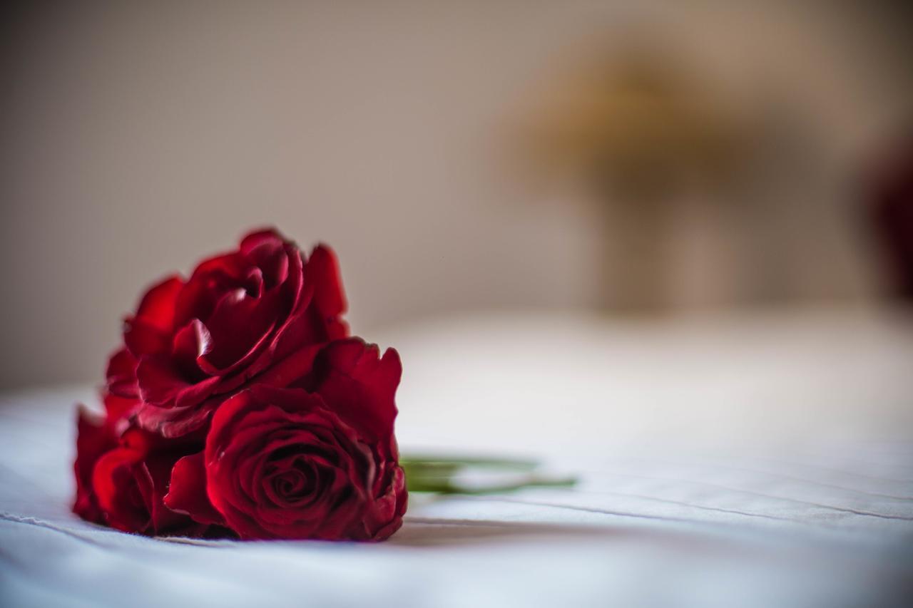 Bliss Riad Marrakesh Ngoại thất bức ảnh