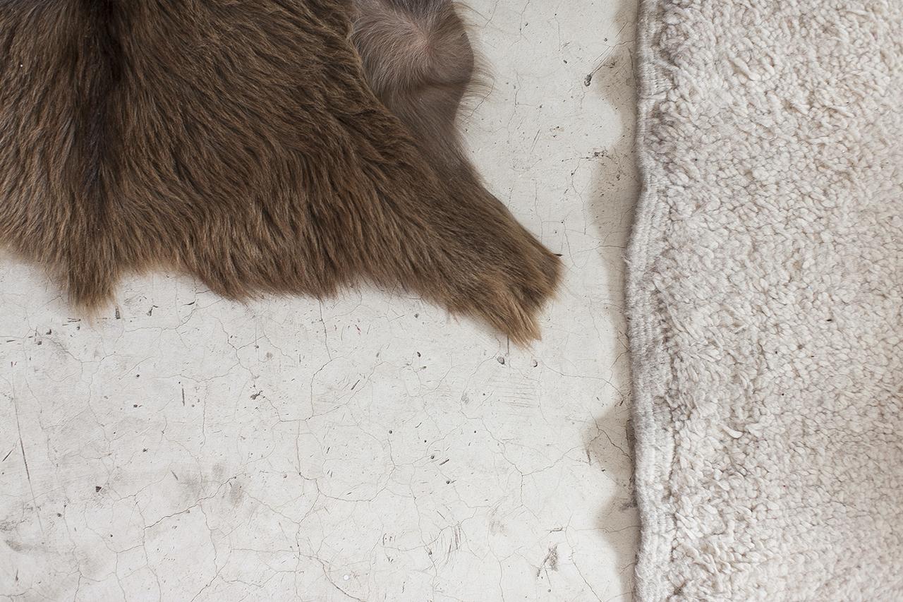 Bliss Riad Marrakesh Ngoại thất bức ảnh
